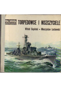 Torpedowiec i niszczyciele
