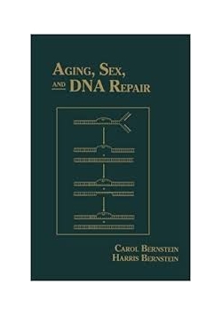Aging , Sex and DNA Repair
