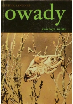 Owady