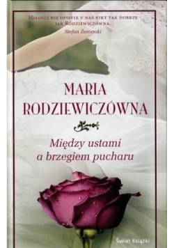 Między ustami a brzegiem pucharu TW w.2013