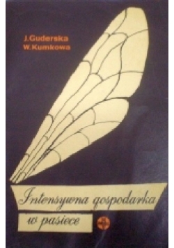 Intensywna gospodarka w pasiece