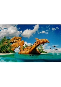 Puzzle 1000 Dolphin Paradise CASTOR