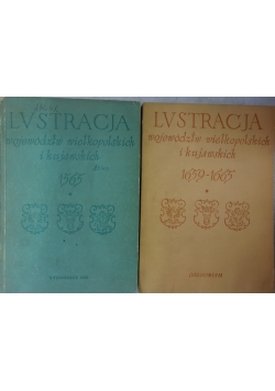 Lustracja województw wielkopolskich i kujawskich.Zestaw 2 książek