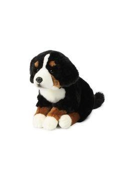 Berner sennen 26 cm ACP