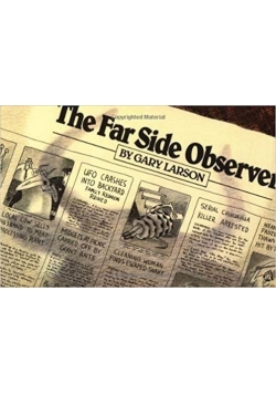 Far Side Observer