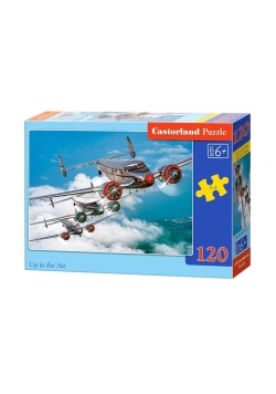 Puzzle 120 Up in the Air CASTOR