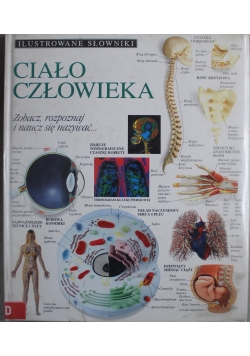 Ilustrowane słowniki ciało człowieka