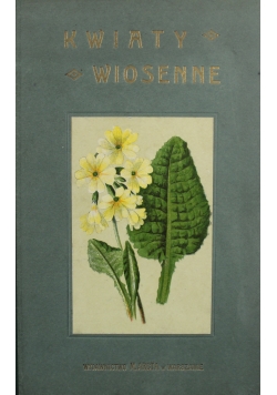 Kwiaty wiosenne 1911 r.