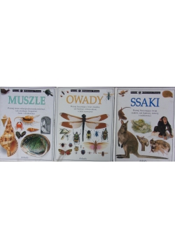 Ssaki/Muszle/Owady