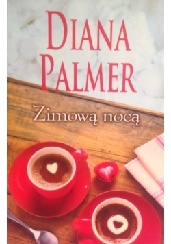 Zimową nocą