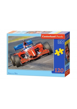 Puzzle 120 Race to Win CASTOR