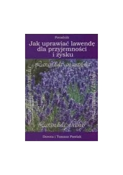 Jak uprawiać lawendę dla przyjemności i zysku