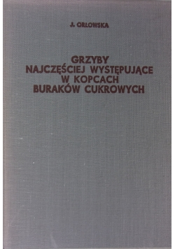 Grzyby najczęściej występujące w kopcach buraków cukrowych