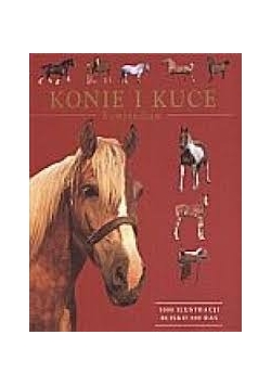 Konie i kuce kompendium