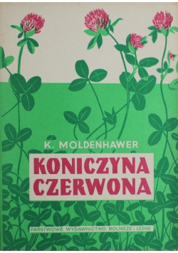 Koniczyna Czerwona 1950 r