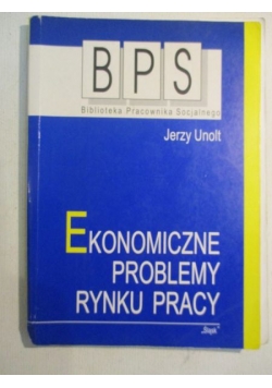 Ekonomiczne problemy rynku pracy