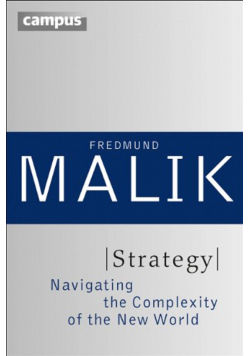 Strategy: Navigating the Complexity of the New World