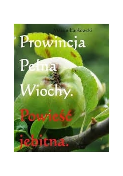 Prowincja pełna wiochy. Powieść jebitna