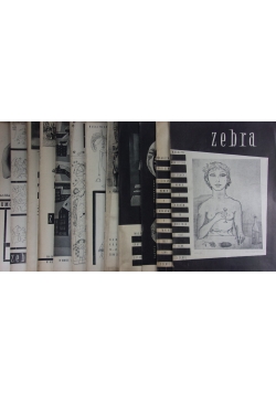 Magazyn Graficzno -Literacki Zebra, zestaw 13 książek