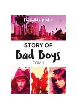 Story of Bad Boys T.1