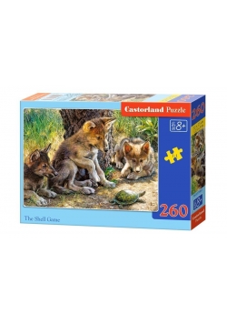 Puzzle 260 The Shell Game CASTOR