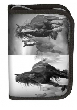 Piórnik Horse 17-001HO/B PASO