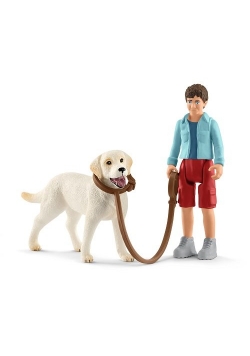Spacer z Labrador Retriver