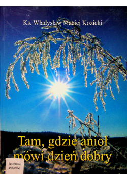 Tam gdzie anioł mówi dzień dobry
