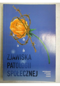 Zjawiska patologii społecznej. Uwarunkowania, rozmiary, profilaktyka, prognozy