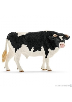 Byk rasy Holstein