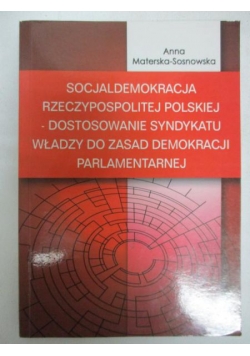 Socjaldemokracja Rzeczypospolitej Polskiej - dostosowanie syndykatu władzy do zasad demokracji polskiej
