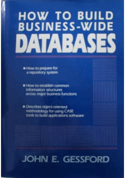 How to build business wide databases