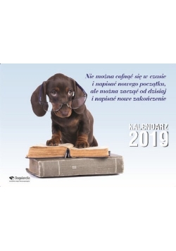 Kalendarz 2019 Bogulandia