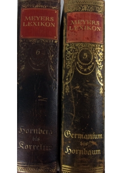 Meyers Lexikon, zestaw 2 książek