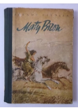 Mały Bizon