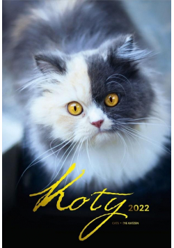 Kalendarz 2022 Wieloplanszowy Koty CRUX