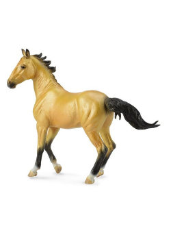 Klacz Akhal-Teke Mare Buckskin