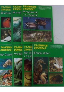 Brzegi mórz
