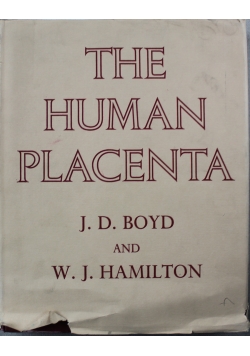 The human placenta