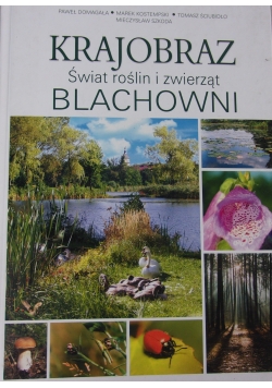 Krajobraz blachowni. Świat roślin i zwierząt