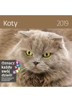 Kalendarz wieloplanszowy Koty 30x30 2019
