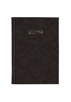 Kalendarz 2019 21DB A5 dzienny Achilles onyksowy