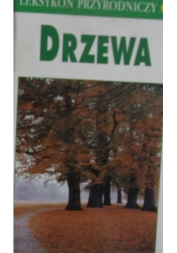 Drzewa