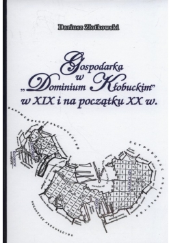 Gospodarka w Dominium Kłobuckim w XIX i na początku XX w.