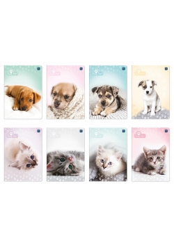 Zeszyt A5/32K kolorowa linia Puppy Sign mix(10szt)