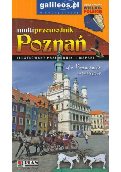 Toruń multiprzewodnik