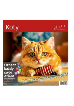 Kalendarz 2022 z naklejkami Koty HELMA
