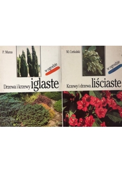 Drzewa i krzewy iglaste/ Krzewy i drzewa liściaste