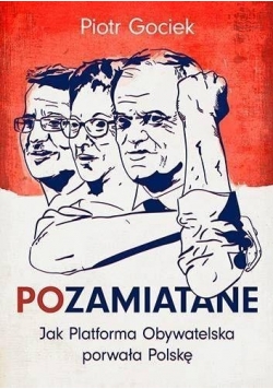 POzamiatane. Jak PO porwała Polskę