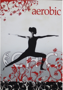 Chic Aerobic Kolekcja 5 Płyt DVD